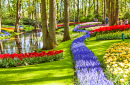 Keukenhof Royal Park, Lisse, Niederlande
