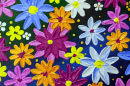 Acryl-Mehrfarbige Blumen
