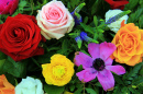 Wunderschönes Blumenarrangement