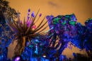 the animal kingdom at night