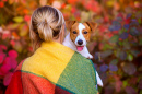 Mädchen und Jack Russell Terrier im Park