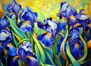 Iriden in Blau und Gelb