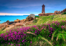 Mean-Ruz-Leuchtturm, Bretagne, Frankreich