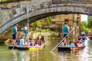 Puntboote auf dem Fluss Cam, Großbritannien