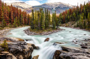 Sunwapta Falls im Jasper Nationalpark, Alberta, Kanada
