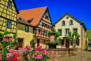 Fachwerkhäuser in Riquewihr, Frankreich