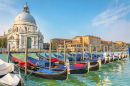 Santa Maria della Salut und Gondeln in Venedig