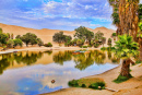 Oase von Huacachina am Morgen, Peru