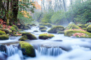 Great Smoky Mountains Nationalpark, USA