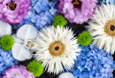 Wunderschöne Blumen, die auf dem Wasser treiben