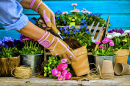 Gartenarbeit