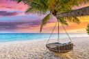 Wunderschöner Sonnenuntergang an einem tropischen Strand