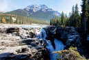 Athabasca-Wasserfälle im Jasper-Nationalpark