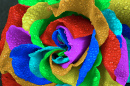 Makro einer Regenbogenrose
