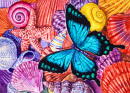 Schmetterling auf Muscheln