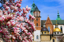 Schloss Krakau an einem sonnigen Frühlingstag