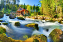 Landschaft mit Wasserfall und Mühle, Gollinger Alpen