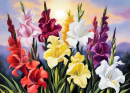 Gladiolusblüten vor einem sanften Sonnenuntergangshimmel