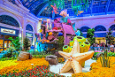 Bellagio Hotel Konservatorium & Botanische Gärten