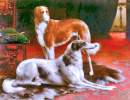 Zwei Windhunde