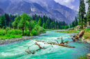 Landschaft mit einem Bergfluss