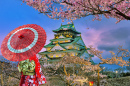 Kirschblüten rund um Osaka Castle bei Einbruch der Dämmerung, Japan