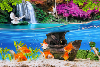 Wunderschöne Collage mit Goldfischen