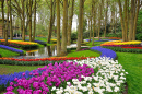 Farbenfroher Keukenhof-Park in den Niederlanden