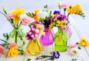 Wunderschöne frische Blumen in Glasflaschen