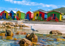 Bunte Strandhäuser in Muizenberg, Kapstadt