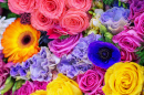 Farbenfroher Blumenhintergrund