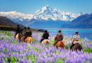 Reiten im Mount Cook Nationalpark, Neuseeland
