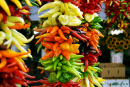 Bunte Chilischoten auf einem Bauernmarkt