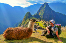Tourist und Lama, Machu Picchu, Peru