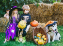 Halloween-Gartenparty