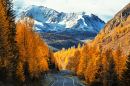 Blick auf die Herbst-Taiga, Altai-Republik, Russland