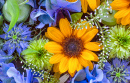 Blumen und Früchte, die auf dem Wasser treiben
