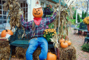 Mr. Pumpkins Herbstretreat