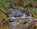 Chuckanut, Washington, Vereinigte Staaten