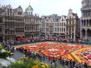 Blumenteppich, Brüssel
