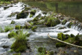 Tosender Fluss Schönheit